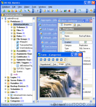 MS SQL Maestro screenshot